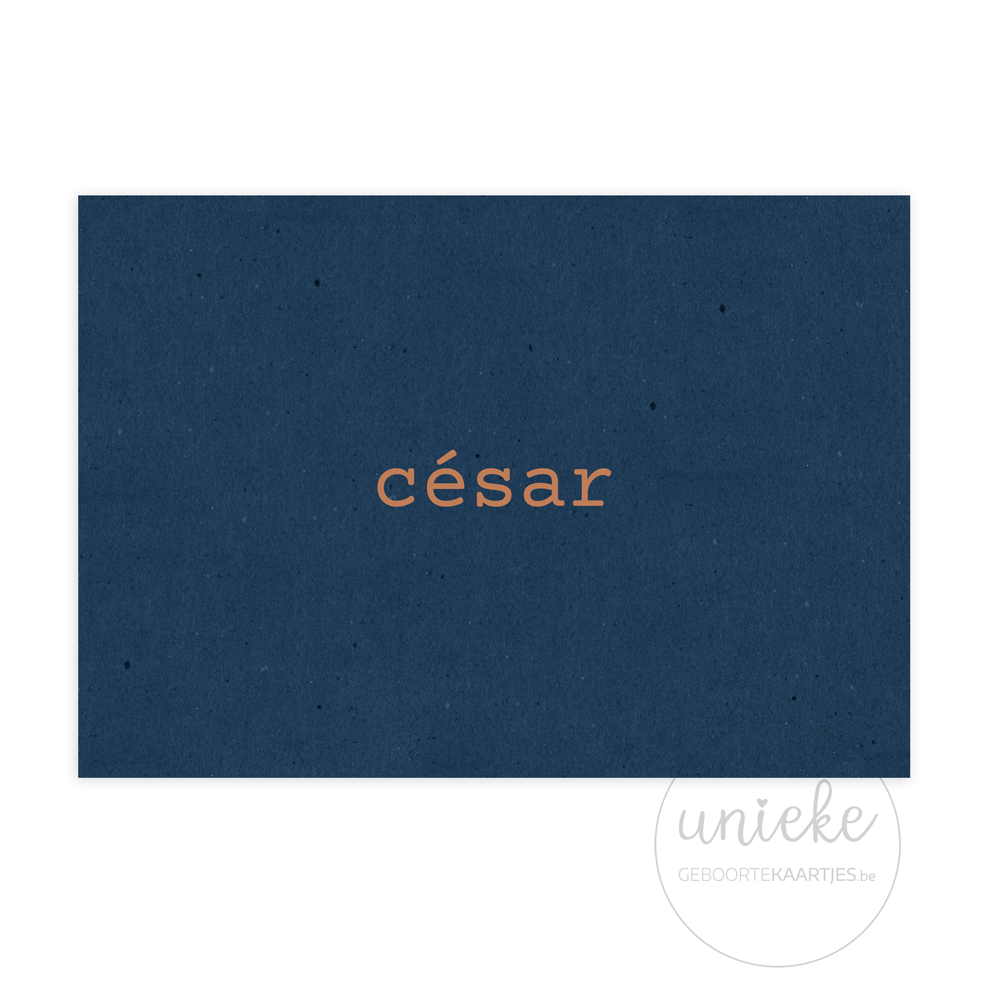 geboortekaartje-cesar-dinosaurus-voorkant De voorkant van het geboortekaartje van César met dinosaurus