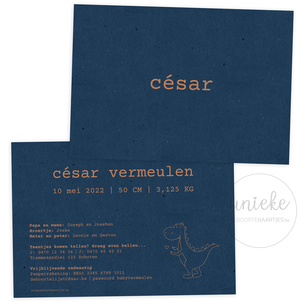 geboortekaartje-cesar-dinosaurus De voorkant en de achterkant van het geboortekaartje van César met dinosaurus