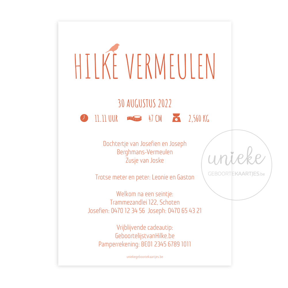 Achterkant van het geboortekaartje van Hilke