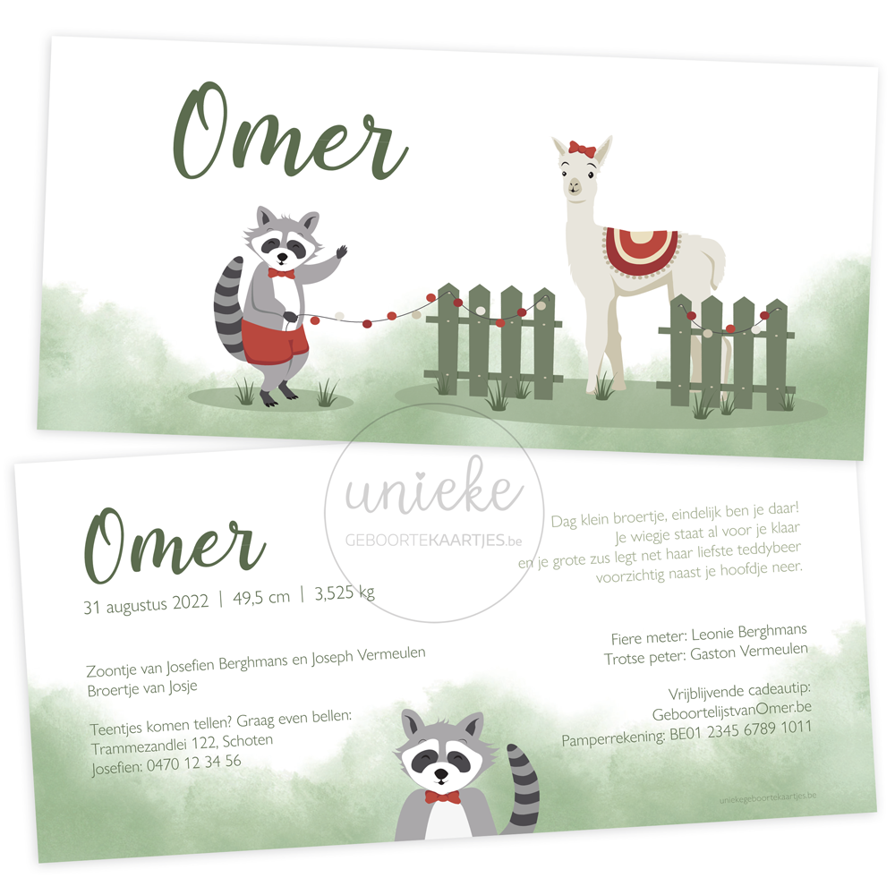Geboortekaartje Omer Wasbeer Alpaca Geboortekaartje van Omer
