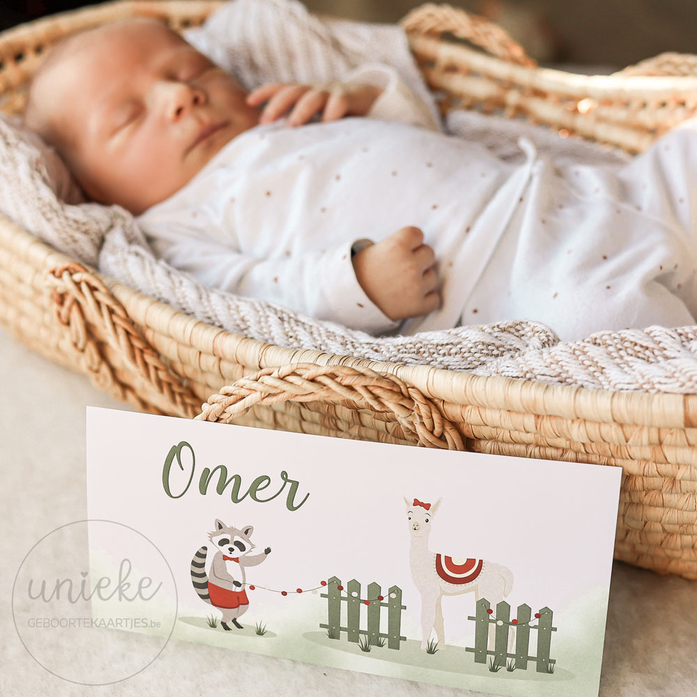 Omer En Geboortekaartje Omer en zijn geboortekaartje