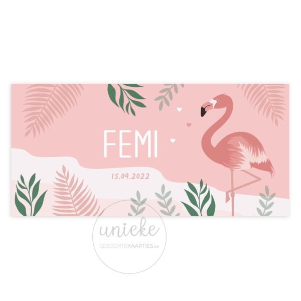 voorkant van het geboortekaartje van Femi