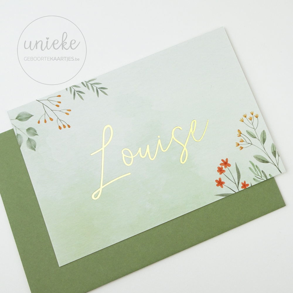 Foto Louise Geboortekaartje Geboortekaartje van Louise