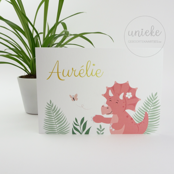 Geboortekaartje van Aurelie