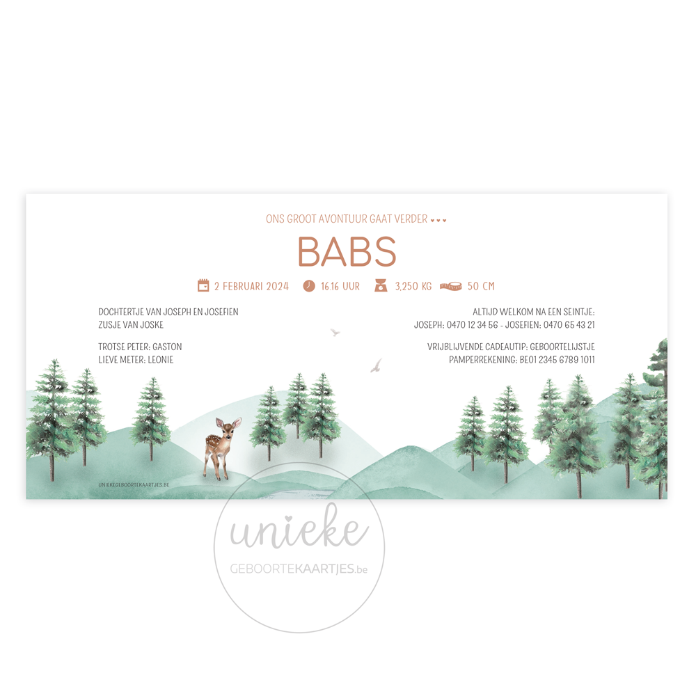Achterkant van het geboortekaartje van Babs