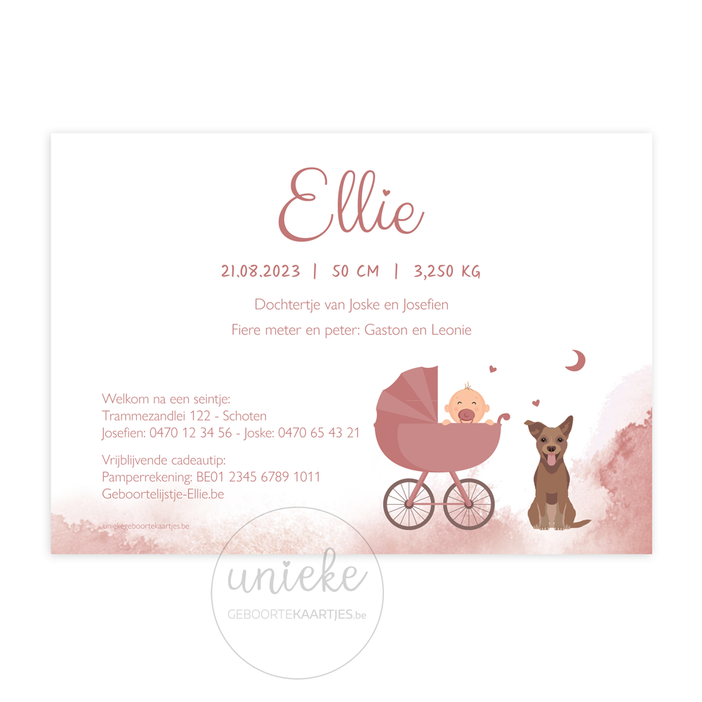 Achterkant van het geboortekaartje van Ellie