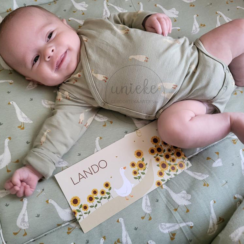 Foto van Lando met zijn geboortekaartje