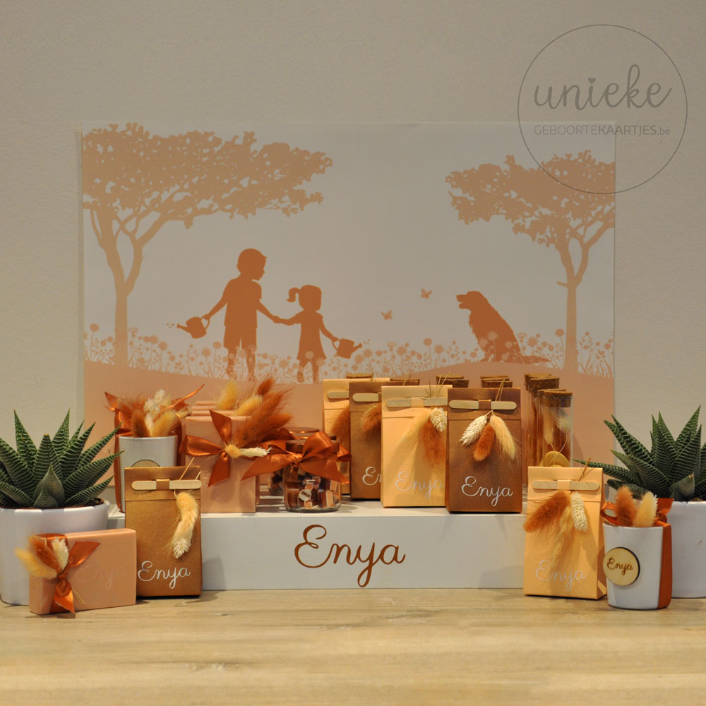 doopsuikerpresentatie-enya Een foto van de doopsuikerpresentatie van Enya