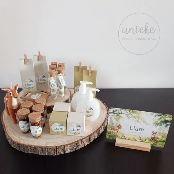 Foto van de doopsuikerpresentatie van Liam
