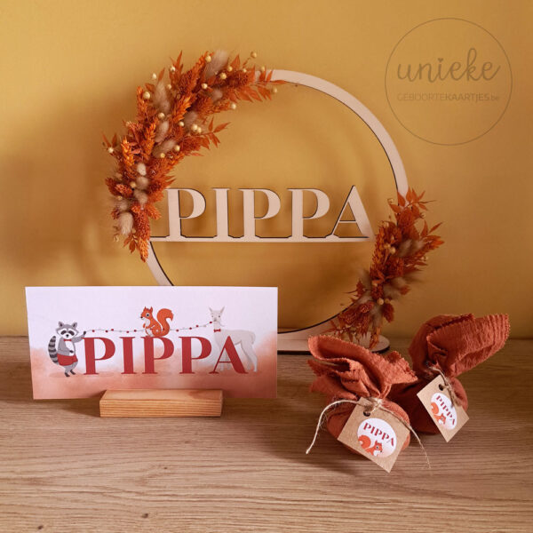 Een foto van de doopsuikerpresentatie van Pippa