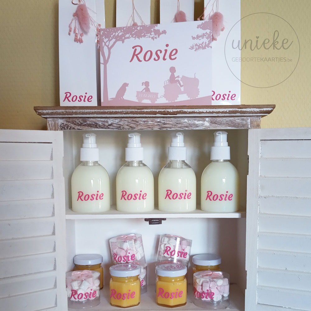 Een foto van de doopsuikerpresentatie van Rosie