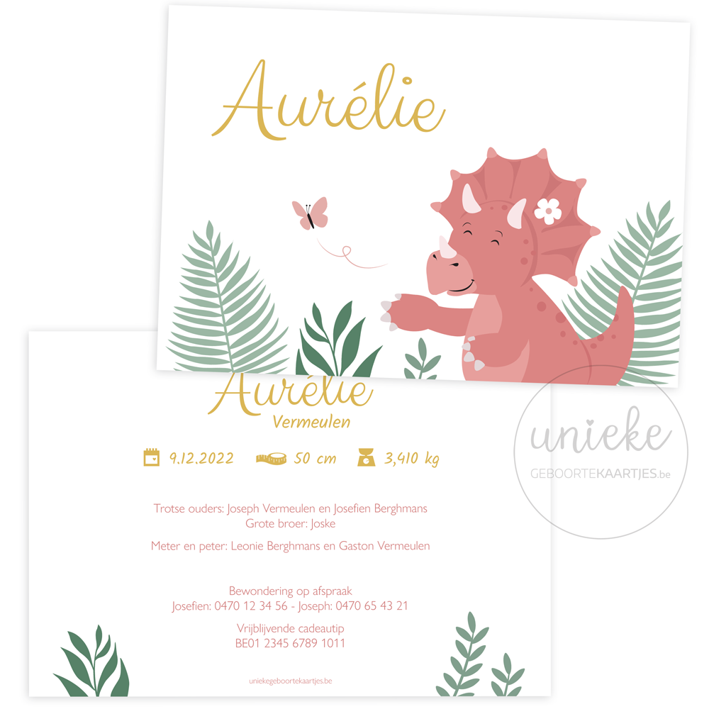geboortekaartje-aurelie-dinosaurus-enkele-kaart Enkel kaartje van Aurelie