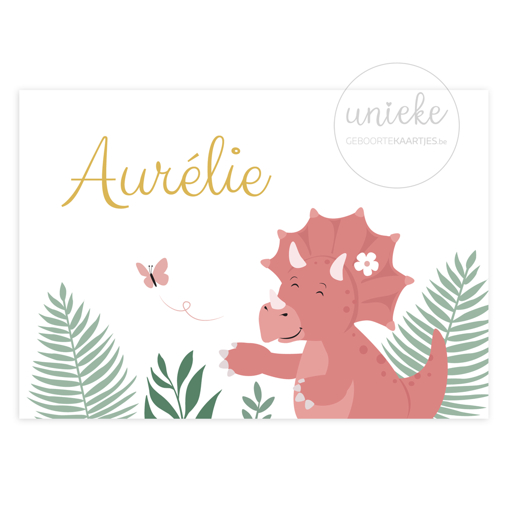 geboortekaartje-aurelie-dinosaurus-voorkant Voorkant van het kaartje van Aurelie