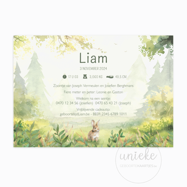 De achterkant van het geboortekaartje van Liam met dieren uit het bos