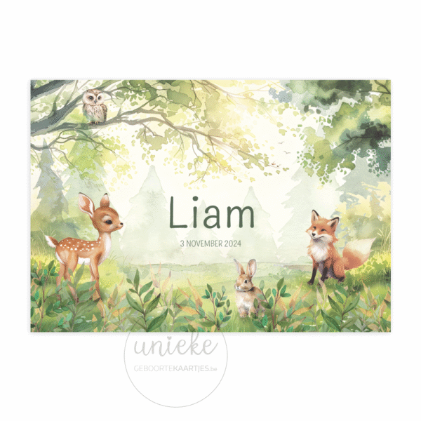 De voorkant van het kaartje van Liam met dieren uit het bos