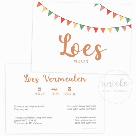 Geboortekaartje van Loes met vlaggetjes