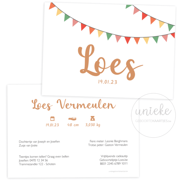 Geboortekaartje van Loes met vlaggetjes