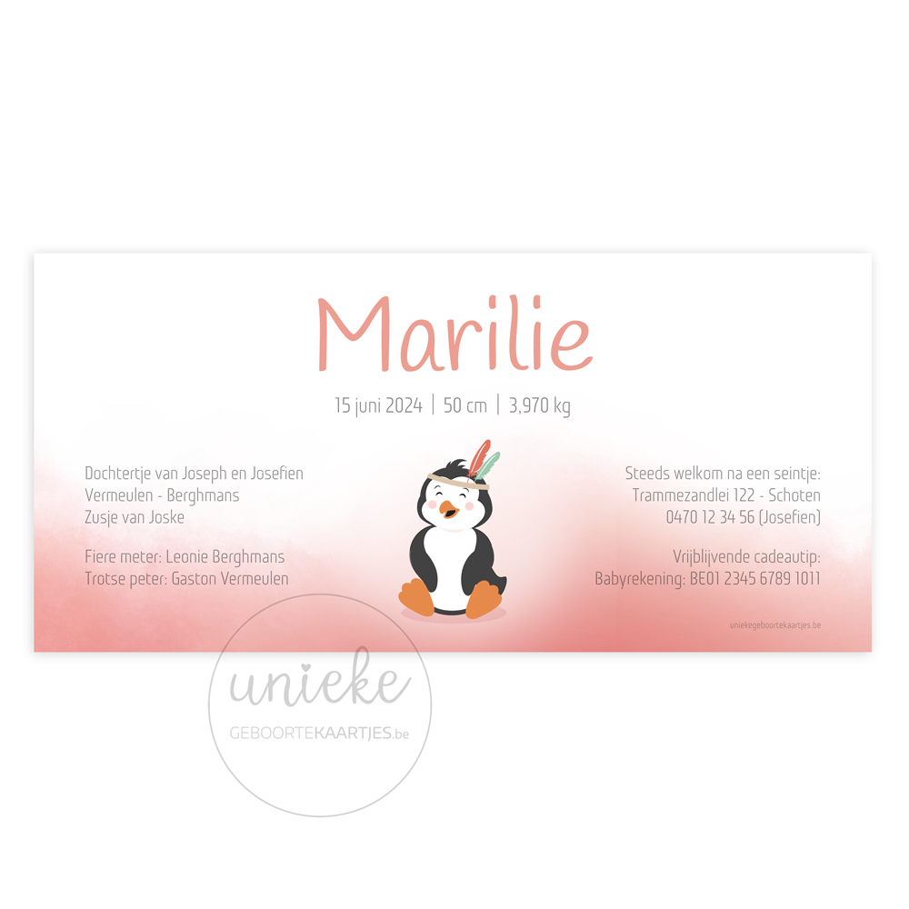 geboortekaartje-marilie-pinguin-achterkant De achterkant van het geboortekaartje van Marilie met een pinguïn en een ijsbeer