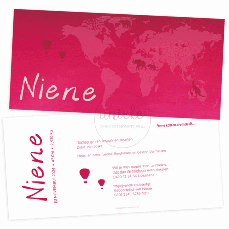 De voorkant en de achterkant van het geboortekaartje van Niene met een wereldkaart