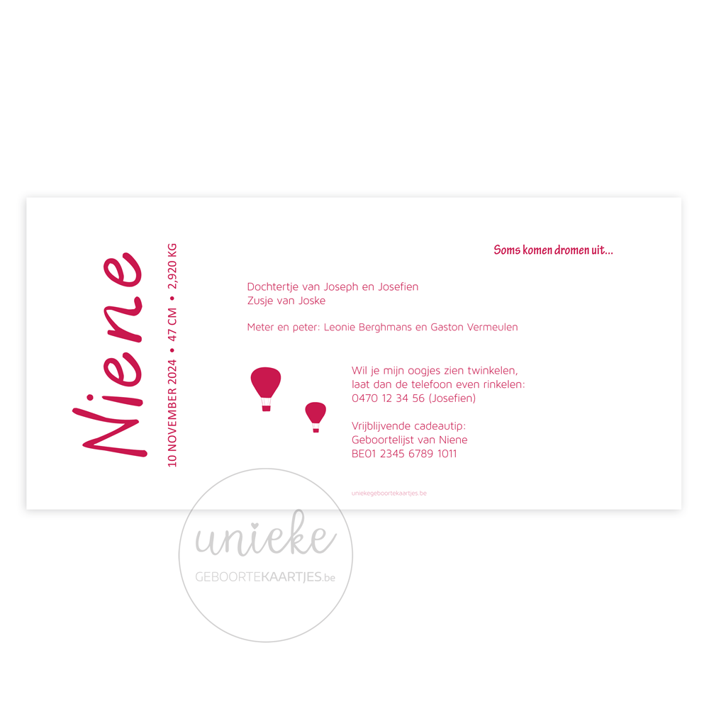 geboortekaartje-niene-wereldkaart-achterkant De achterkant van het geboortekaartje van Niene met een wereldkaart