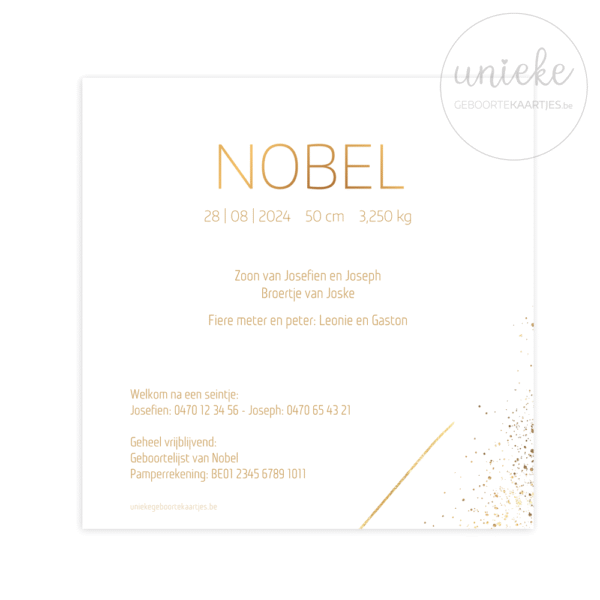 De achterkant van het geboortekaartje van Nobel in het beige