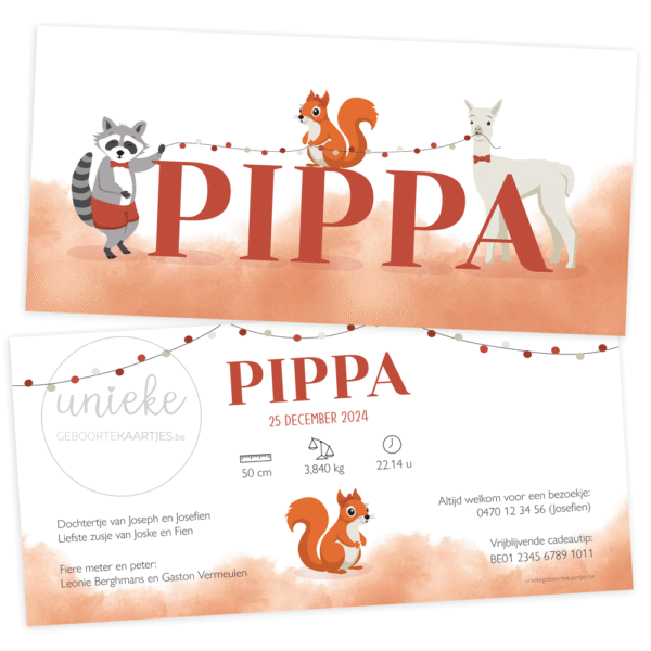 De voorkant en de achterkant van het geboortekaartje van Pippa