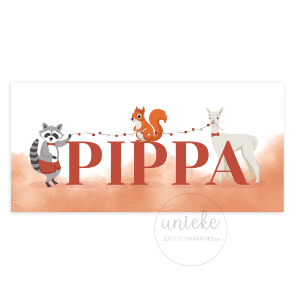 De voorkant van het geboortekaartje van Pippa