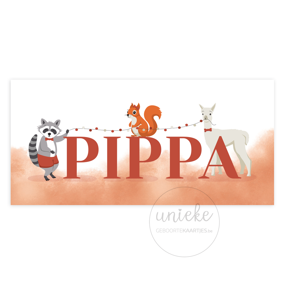 geboortekaartje-pippa-eekhoorn-voorkant De voorkant van het geboortekaartje van Pippa