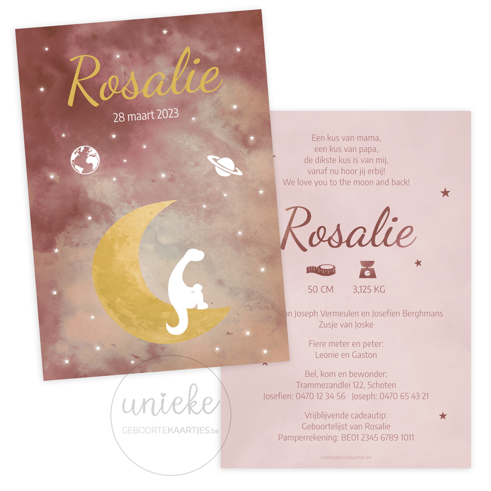 geboortekaartje-rosalie-maan Het geboortekaartje van Rosalie met een maan en een dino in de ruimte