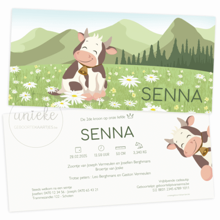 De voorkant en de achterkant van het geboortekaartje van Senna met een koe