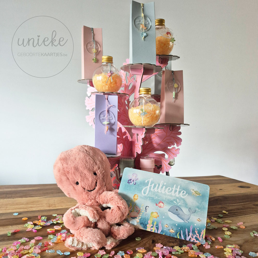 doopsuikerpresentatie-juliette Foto van de doopsuikerpresentatie van Juliette