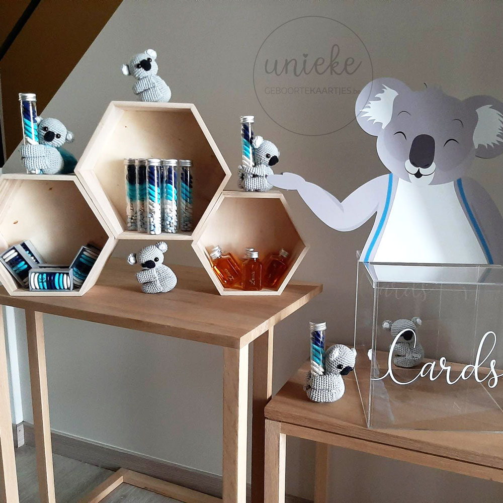 doopsuikerpresentatie-lewis Een foto van de doopsuikerpresentatie van Lewis