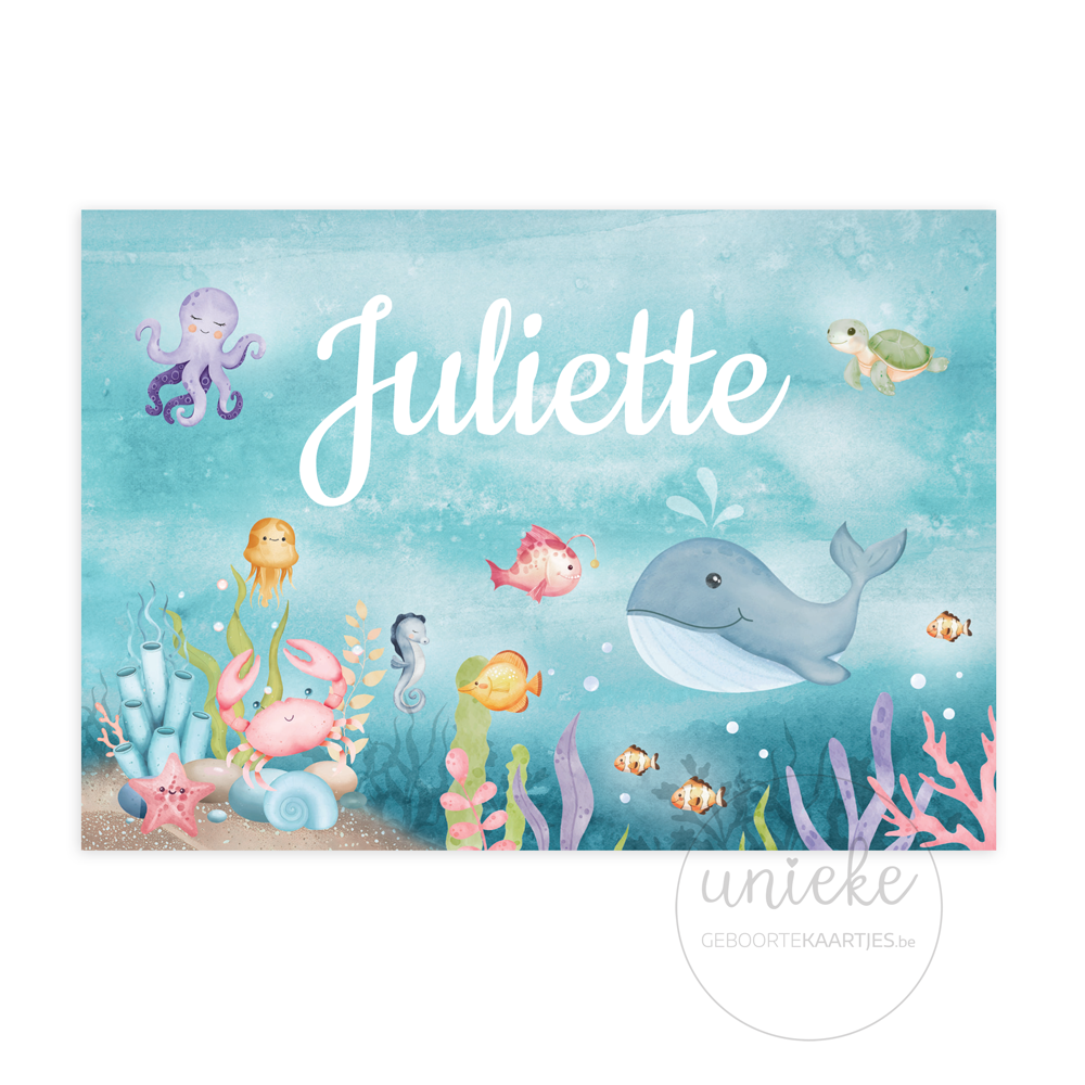 geboortekaartje-juliette-zeedieren-voorkant De voorkant van het kaartje van Juliette met zeedieren