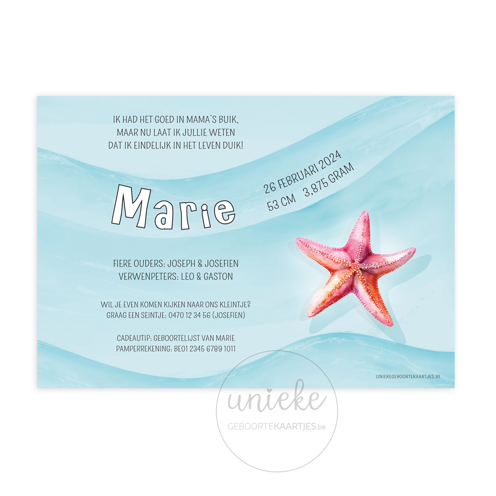 De achterkant van het geboortekaartje van Marie met een zeester