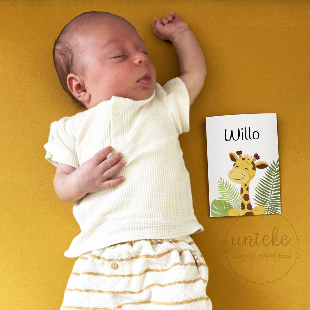 Een foto van Willo met zijn geboortekaartje