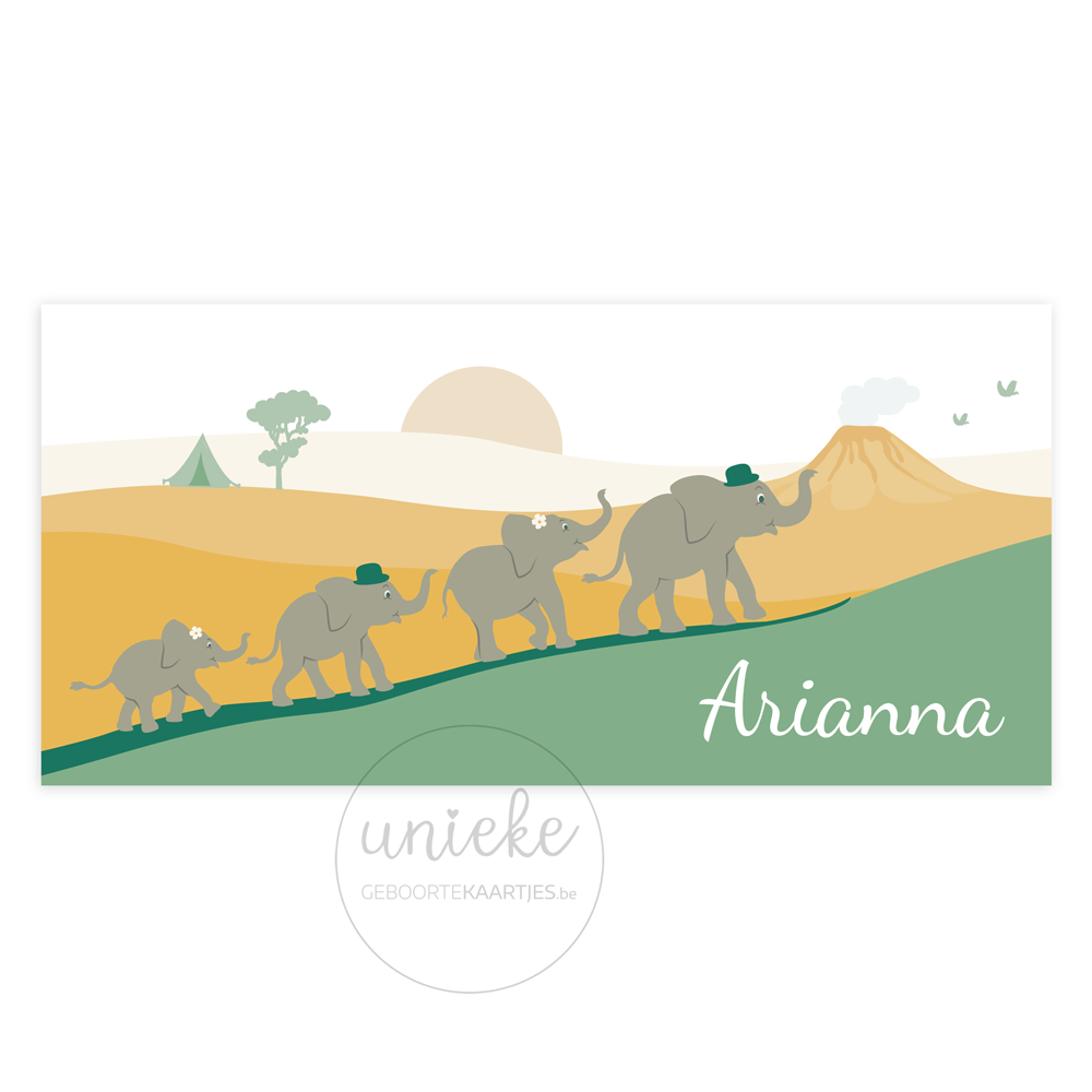 De voorkant van het geboortekaartje van Arianna met olifanten
