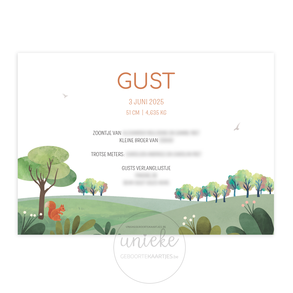 De achterkant van het geboortekaartje van Gust met een huis dat op maat gemaakt is