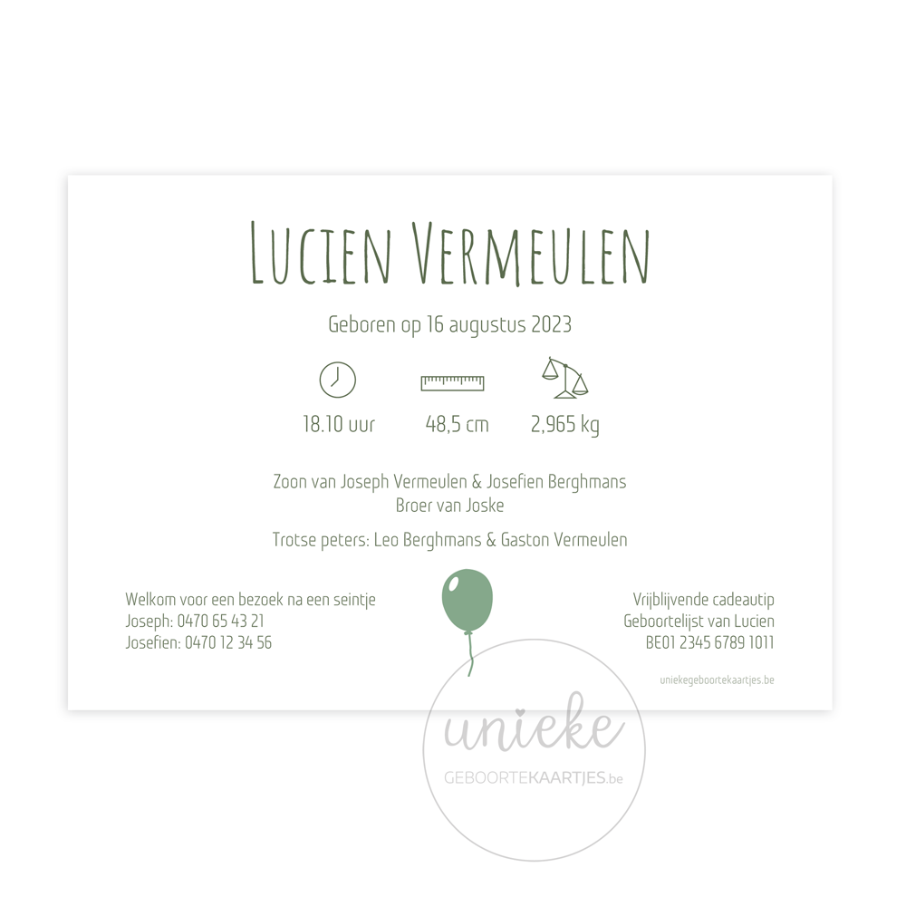 De achterkant van het geboortekaartje van Lucien met leeuwtjes