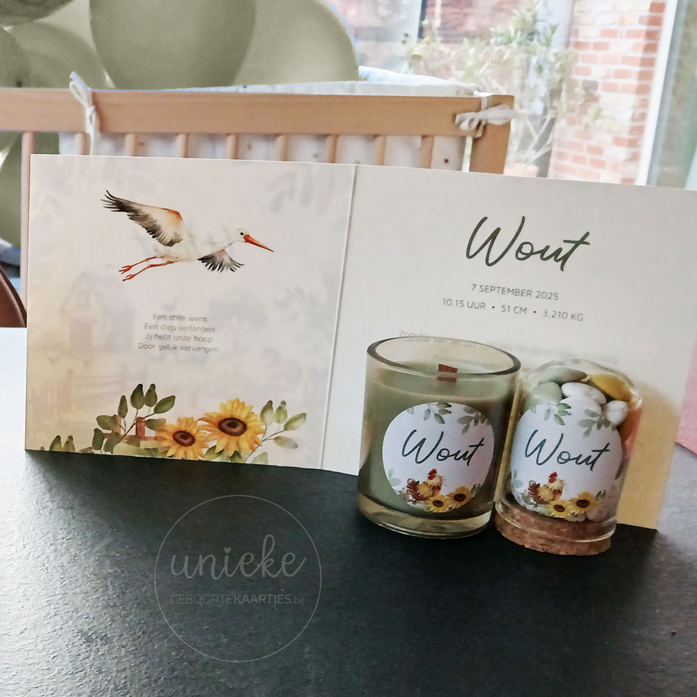 Een foto van de binnenkant van het kaartje van Wout met doopsuikerstickers