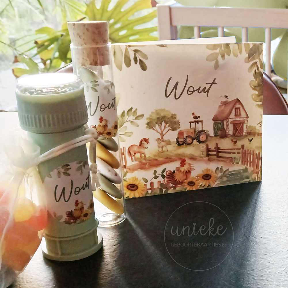 Een foto van de voorkant van het kaartje van Wout met doopsuikerstickers