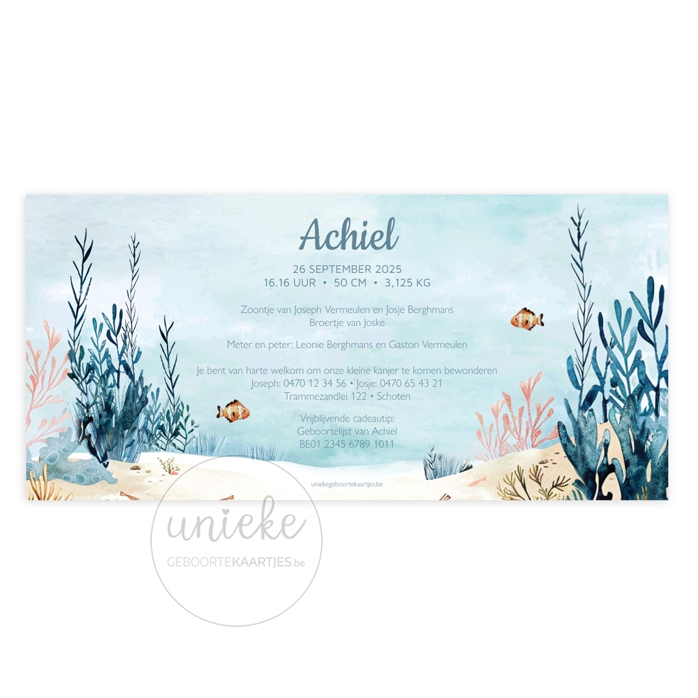De achterkant van het geboortekaartje van Achiel met een walvis