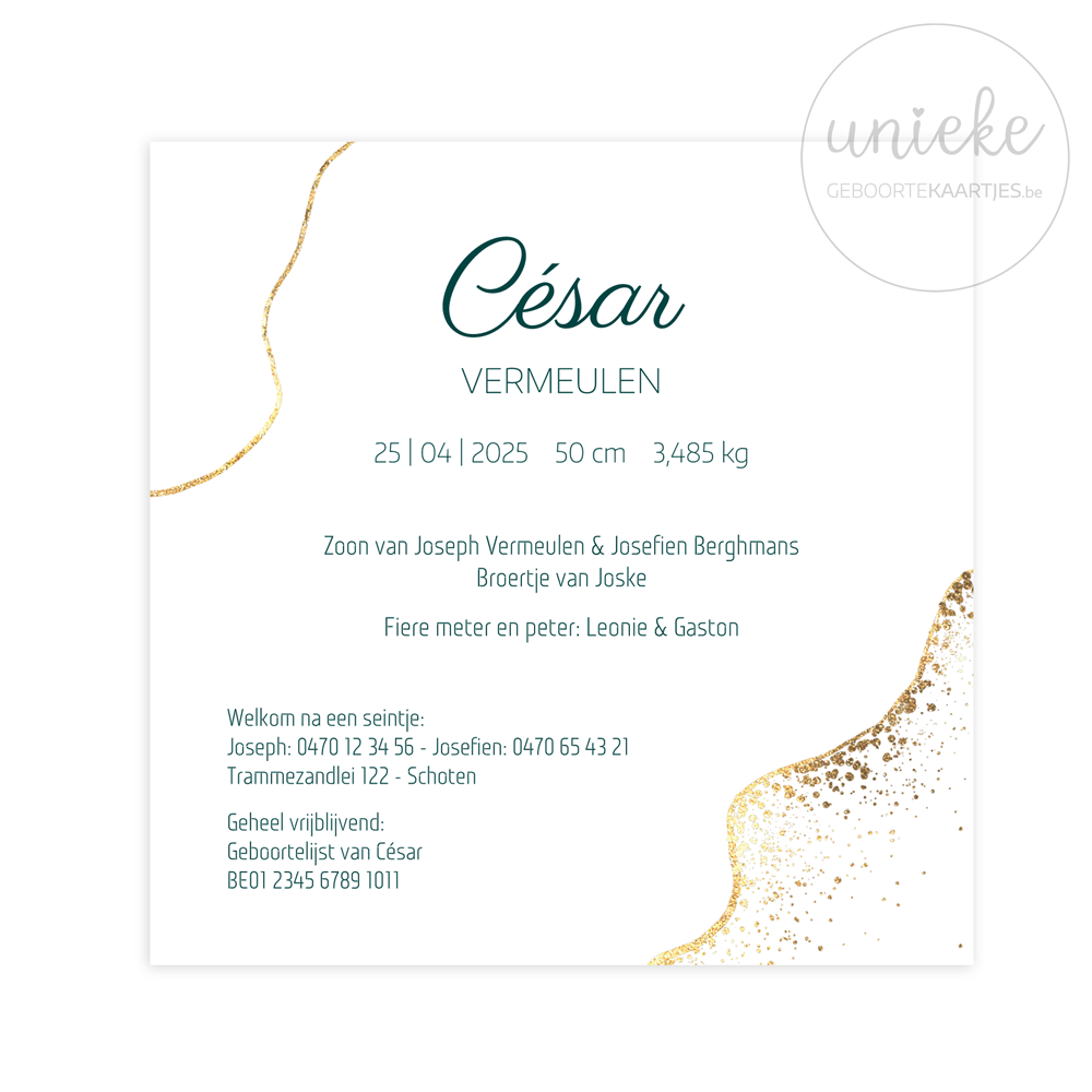 De achterkant van het kaartje van César met petrolblauw