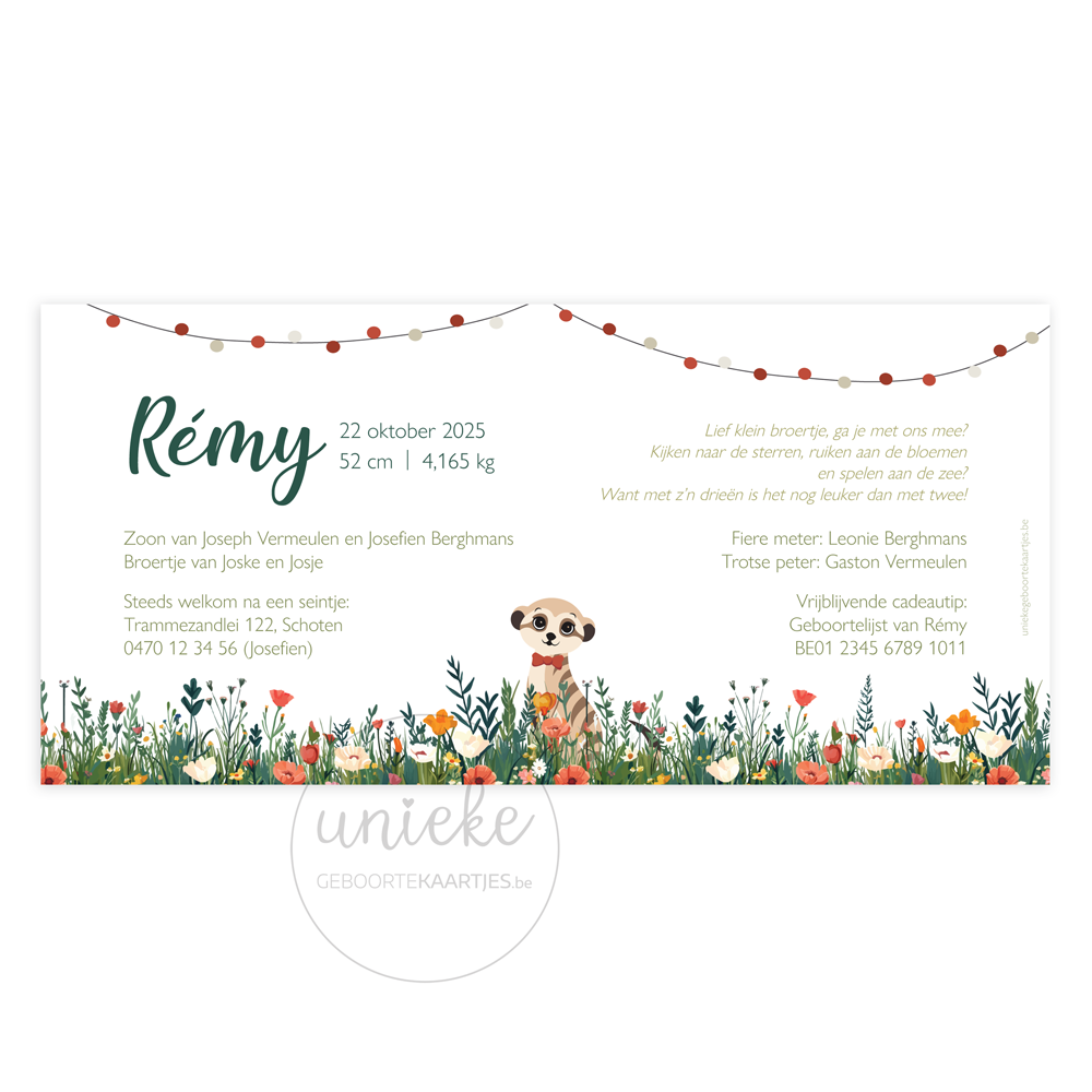 De achterkant van het geboortekaartje van Rémy met thema kamperen