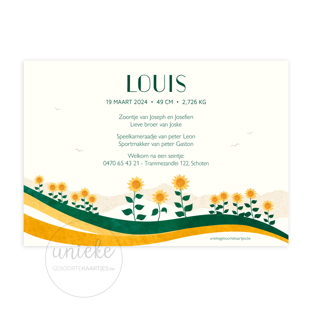 De achterkant van het geboortekaartje van Louis met zonnebloemen en een zon