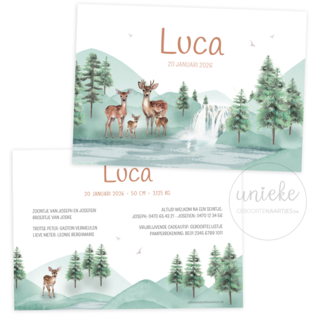 De voorkant en de achterkant van het geboortekaartje van Luca met hertjes en een waterval