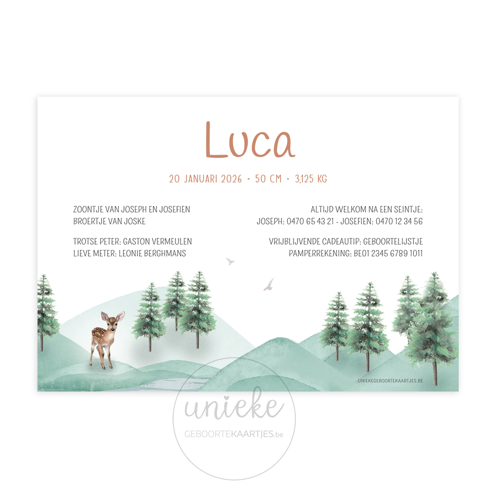geboortekaartje-luca-hertjes-achterkant De achterkant van het geboortekaartje van Luca met hertjes en een waterval