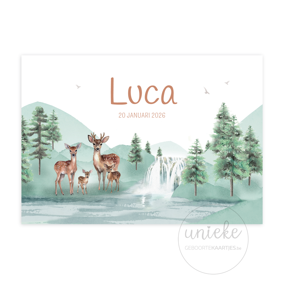 geboortekaartje-luca-hertjes-voorkant De voorkant van het geboortekaartje van Luca met hertjes en een waterval