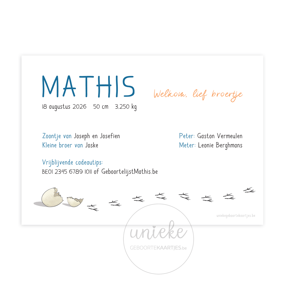 De achterkant van het geboortekaartje van Mathis met een vogel