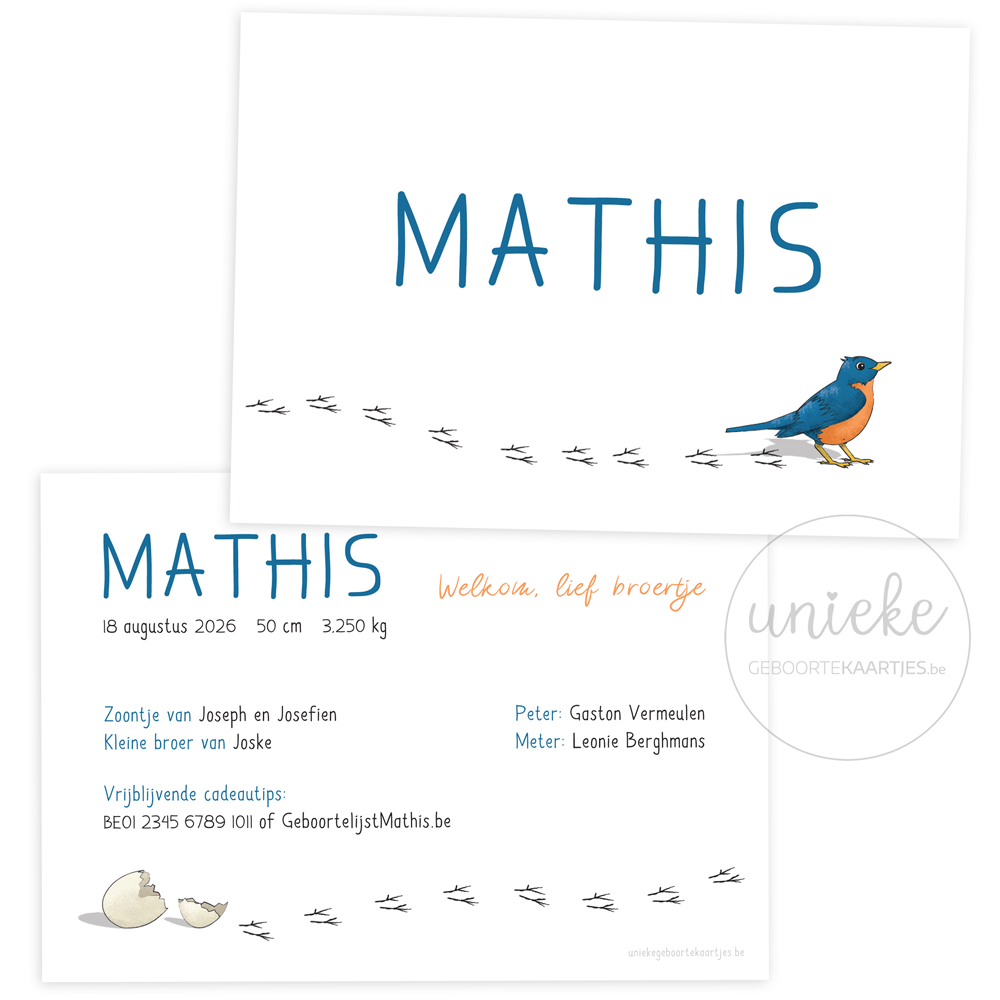 De voorkant en de achterkant van het geboortekaartje van Mathis met een vogel